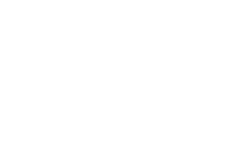 The Bear Collective